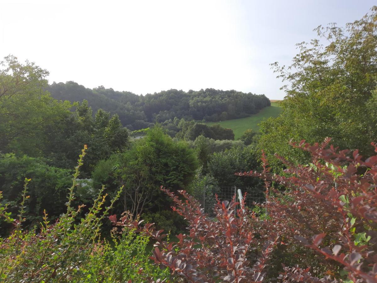 Penzion Zahrada nad řekou, restaurace a kavárna - PARKOVÁNÍ GRÁTIS Zlatá Koruna Exterior foto