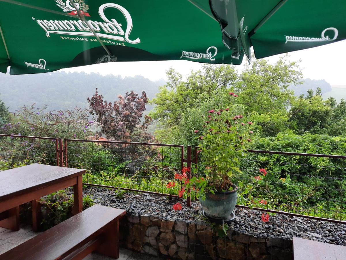 Penzion Zahrada nad řekou, restaurace a kavárna - PARKOVÁNÍ GRÁTIS Zlatá Koruna Exterior foto