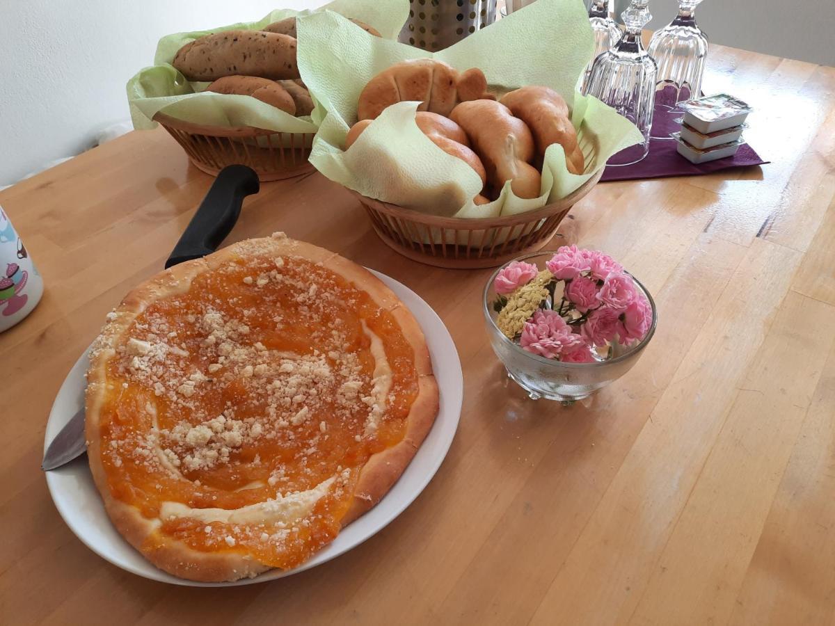 Penzion Zahrada nad řekou, restaurace a kavárna - PARKOVÁNÍ GRÁTIS Zlatá Koruna Exterior foto